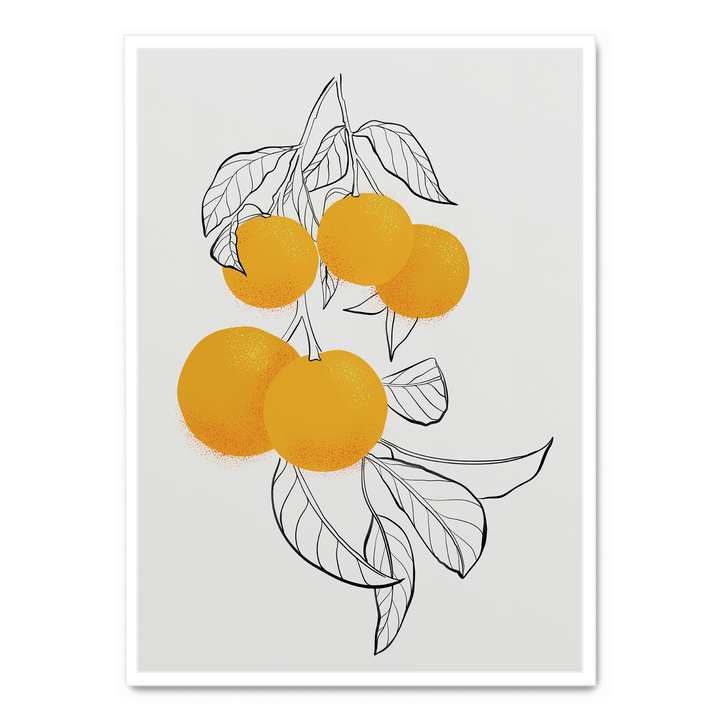 Mabel Oranges