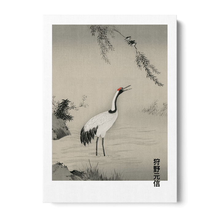 Japanese Crane In Water Canvas