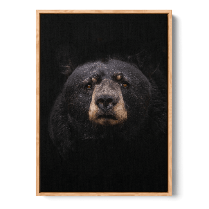 Black Bear Canvas