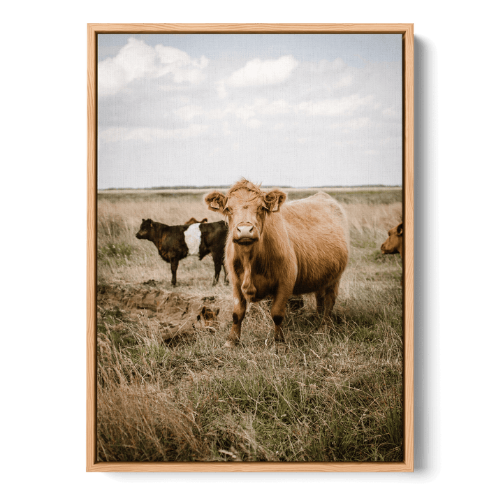 Cattle In The Field Canvas