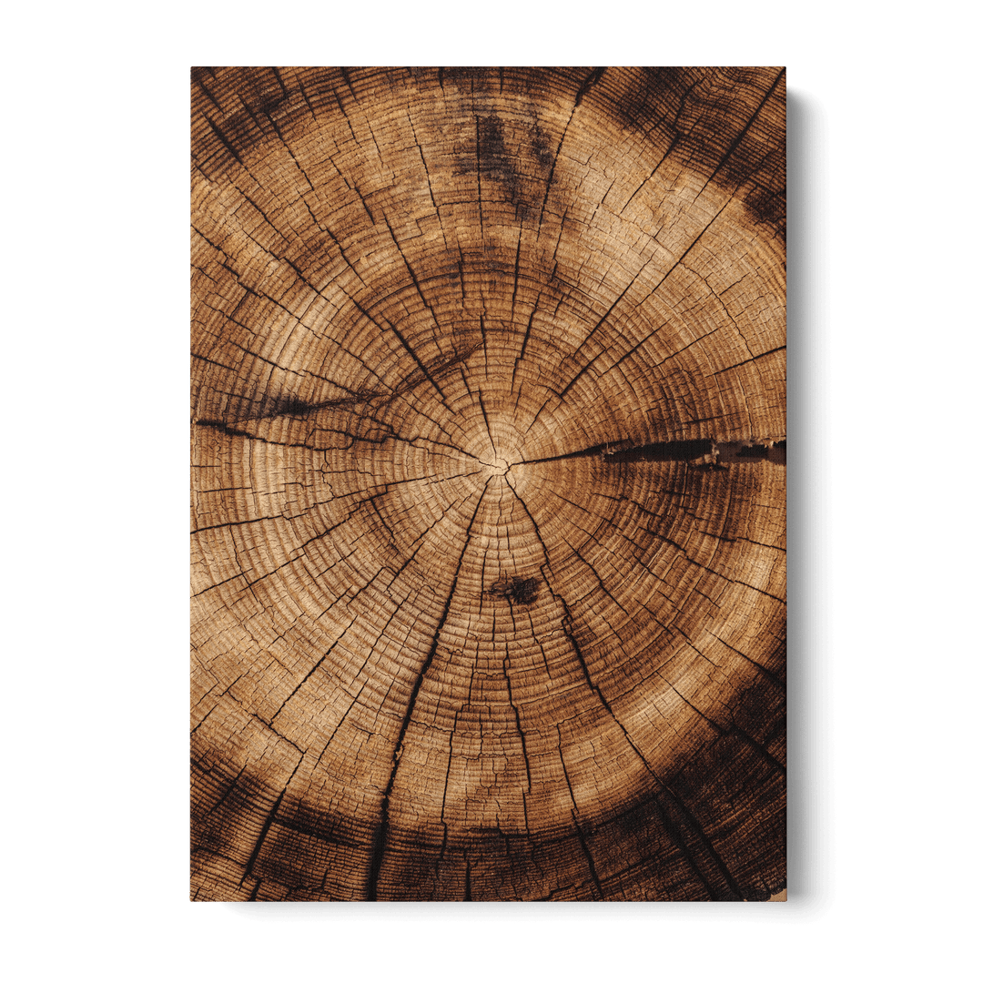 Close Up Of Tree Canvas