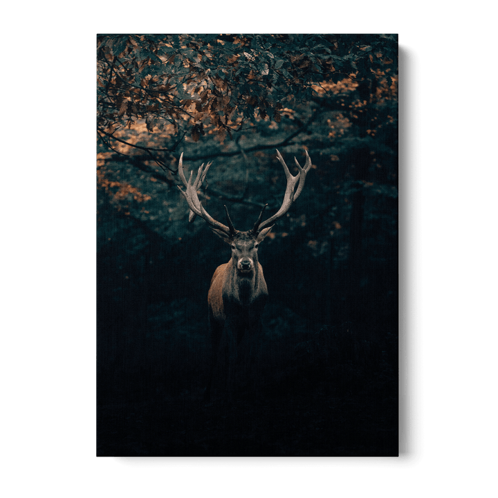 Deer In The Forest Canvas