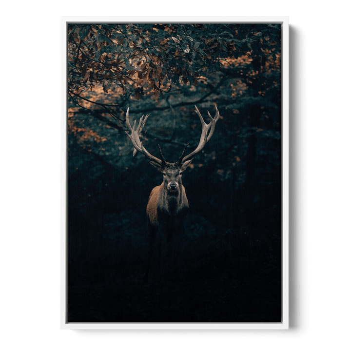 Deer In The Forest Canvas