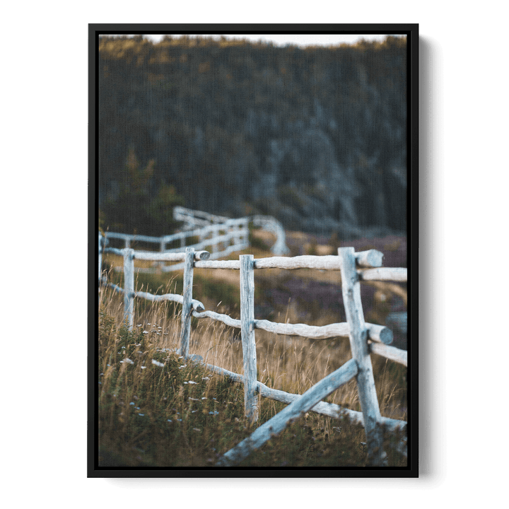 Fence In The Field Canvas
