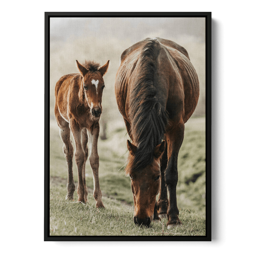 Horse And Foal Canvas