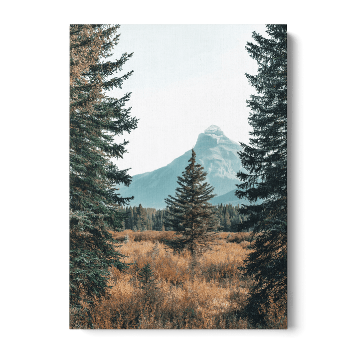 Landscape With Pinetrees Canvas