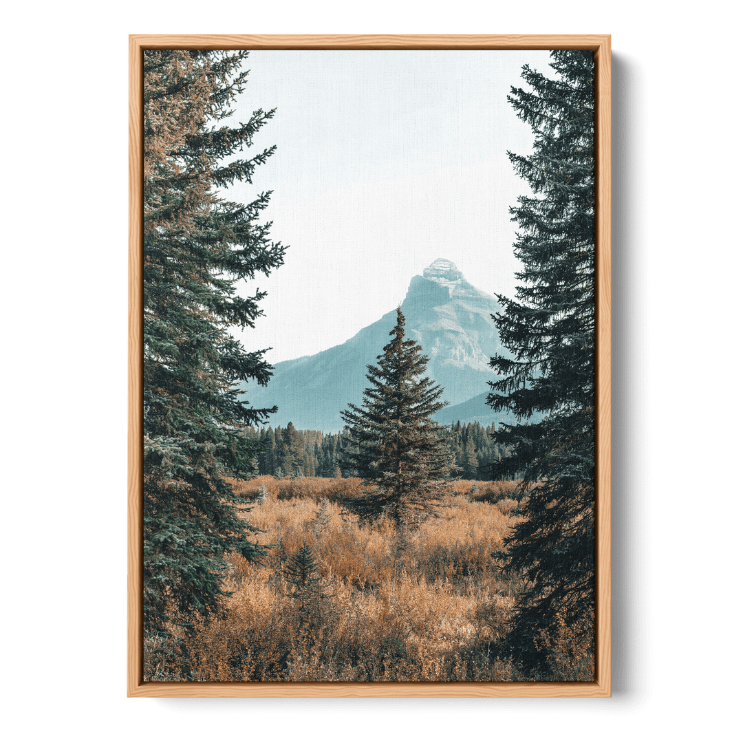 Landscape With Pinetrees Canvas