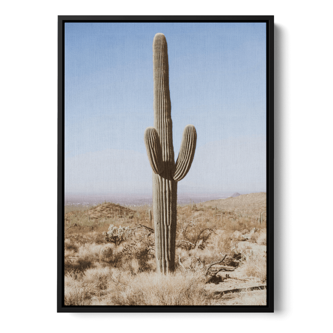 Large Cactus Canvas