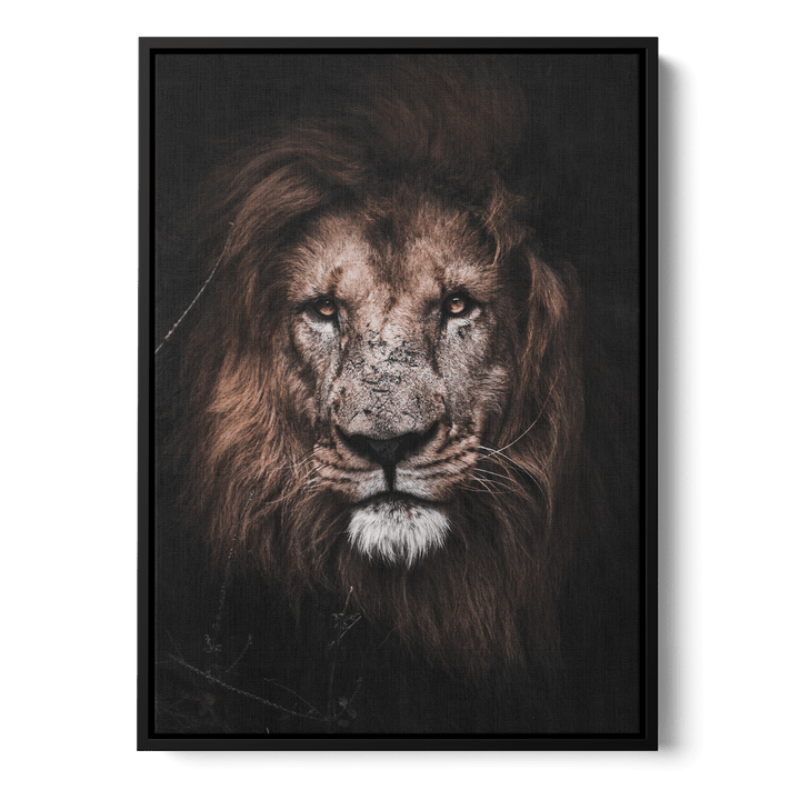 Lion Canvas