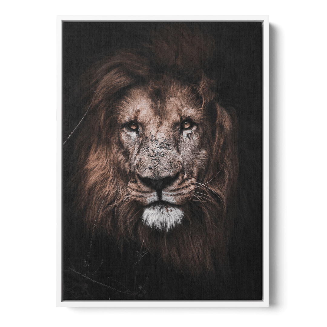 Lion Canvas