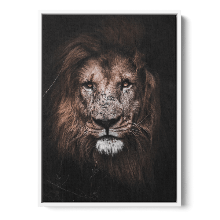 Lion Canvas