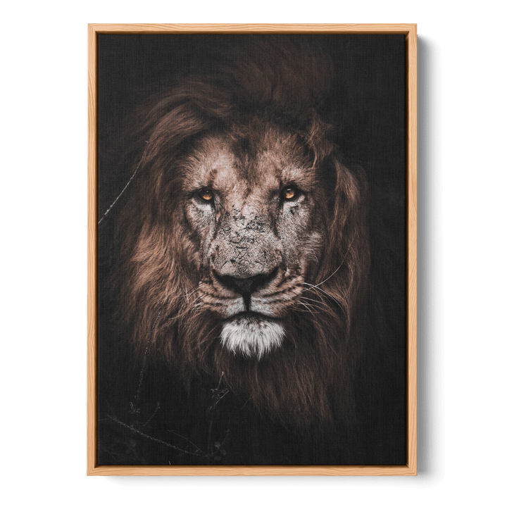Lion Canvas