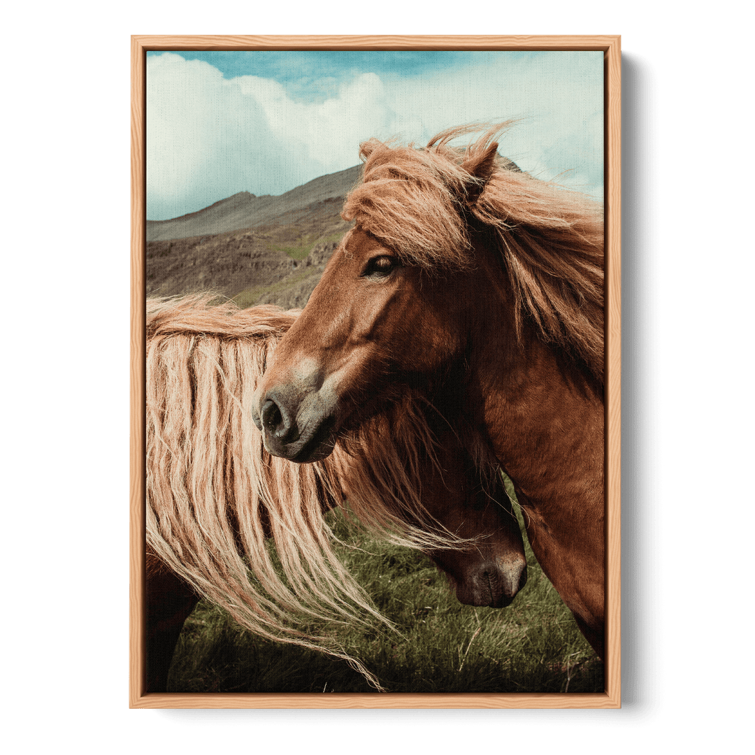 Loving Horses Canvas