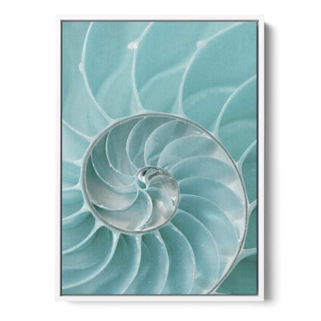 Nautilus Shell Canvas