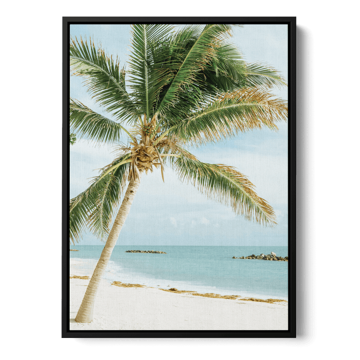 Palm Tree On The Beach Canvas
