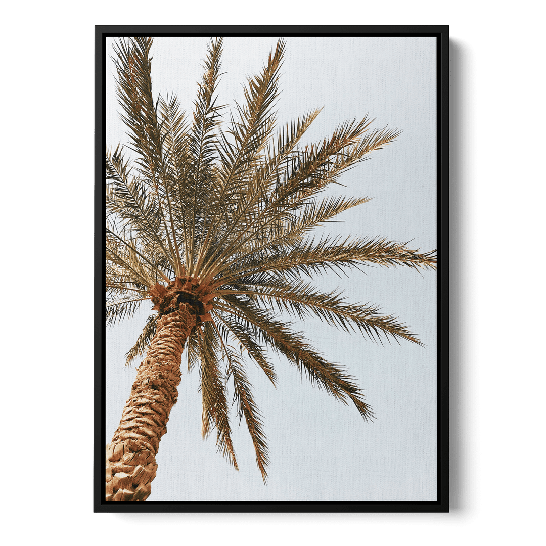 Palm Tree Seen From Below Canvas