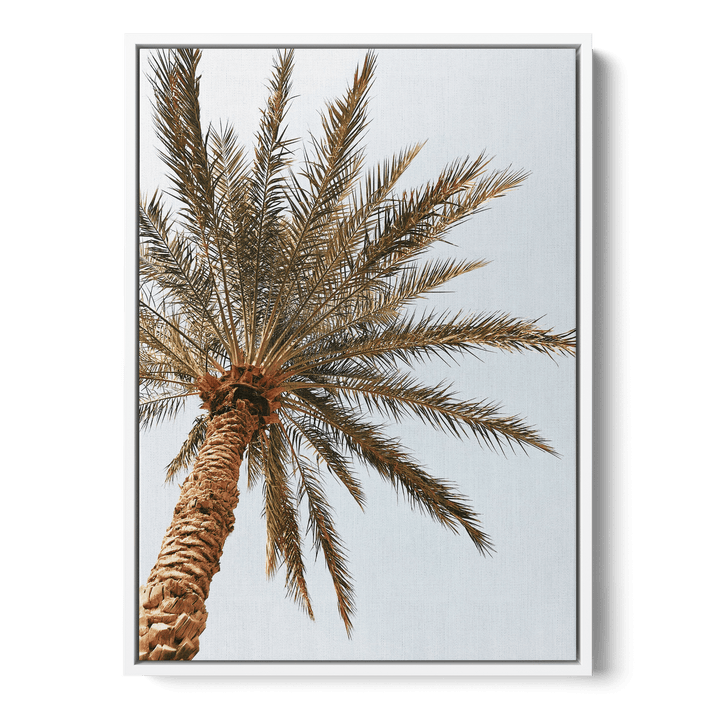 Palm Tree Seen From Below Canvas