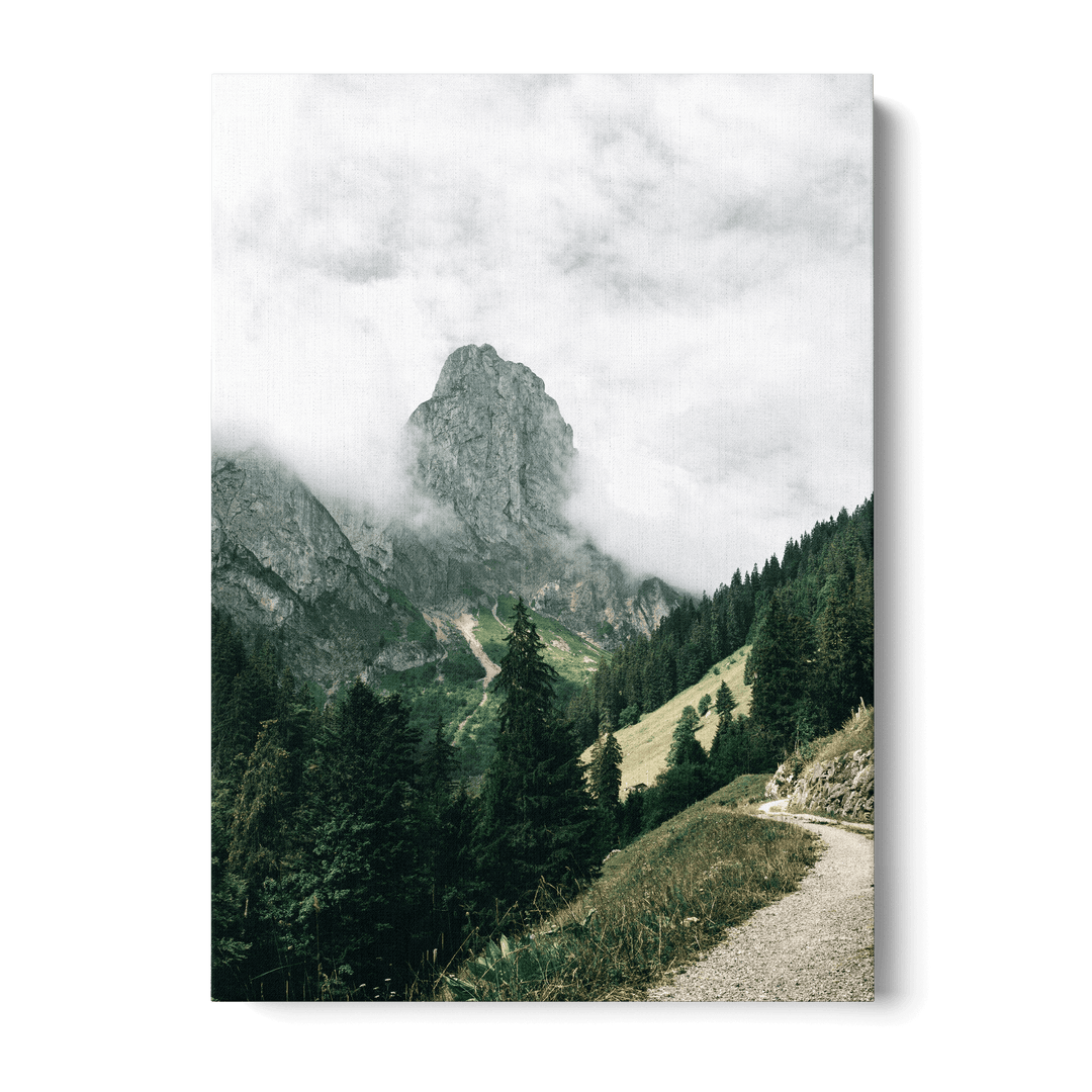 Path Overlooking The Mountains Canvas