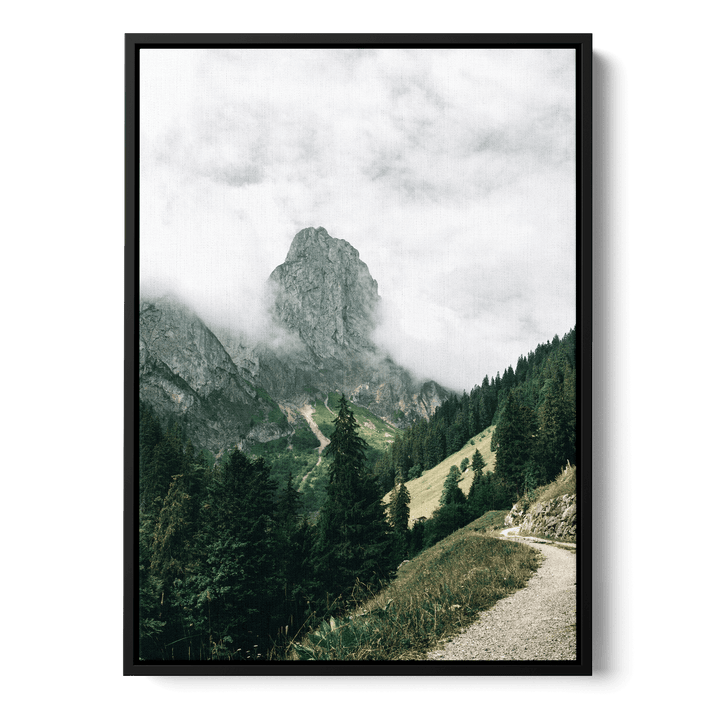 Path Overlooking The Mountains Canvas