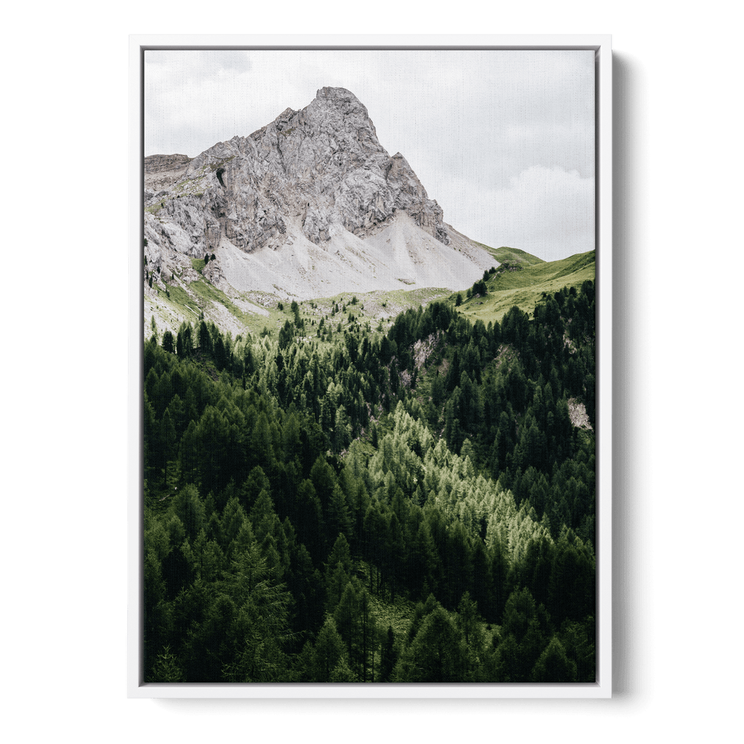 Pinetrees And Mountain Canvas