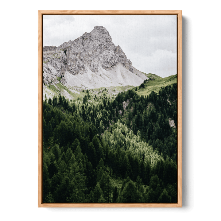 Pinetrees And Mountain Canvas