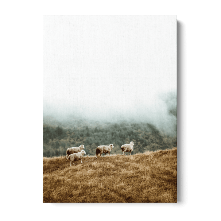 Sheep In The Meadow Canvas