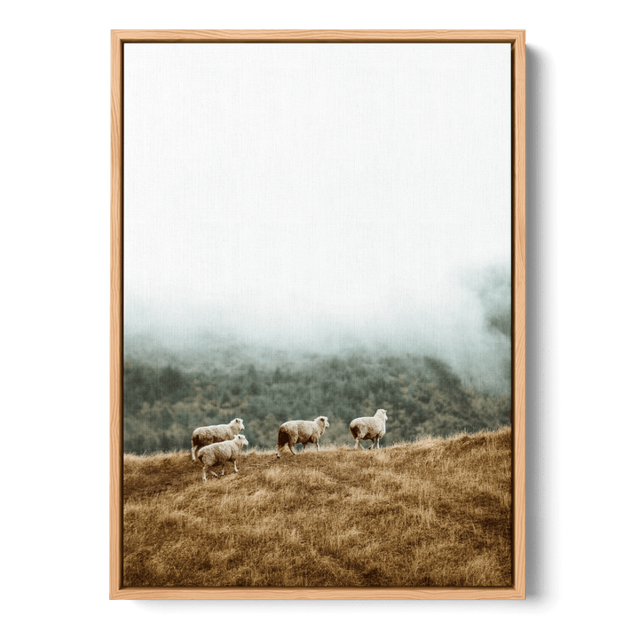 Sheep In The Meadow Canvas