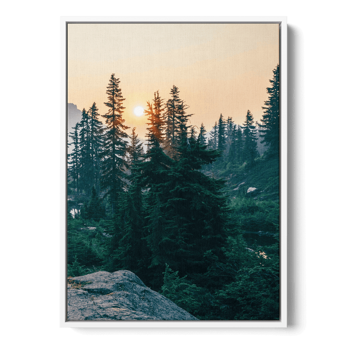 Sunshine In The Woods Canvas