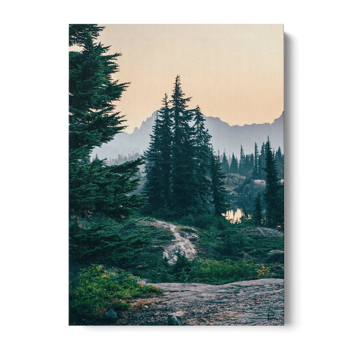 Sunshine In The Woods 2 Canvas