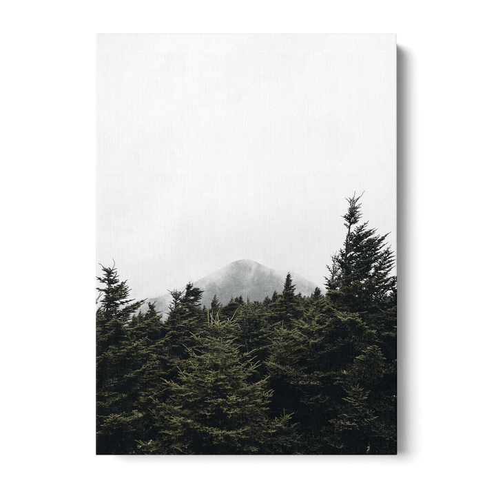 Top Of Pinetrees Canvas
