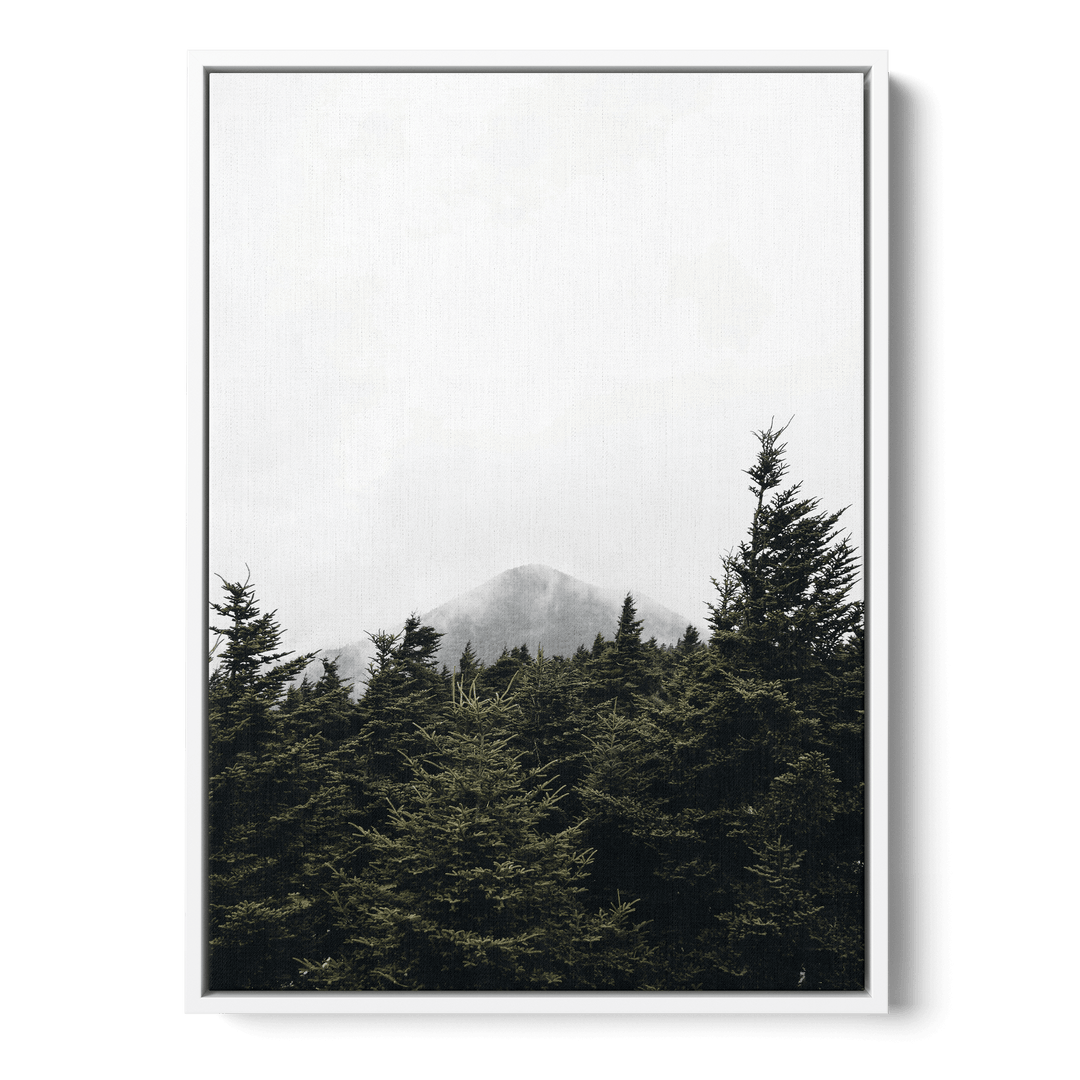 Top Of Pinetrees Canvas