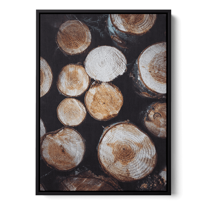 Tree Stumps Canvas