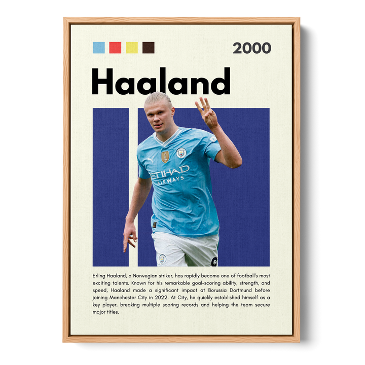 Erling Haaland Football Icons Canvas