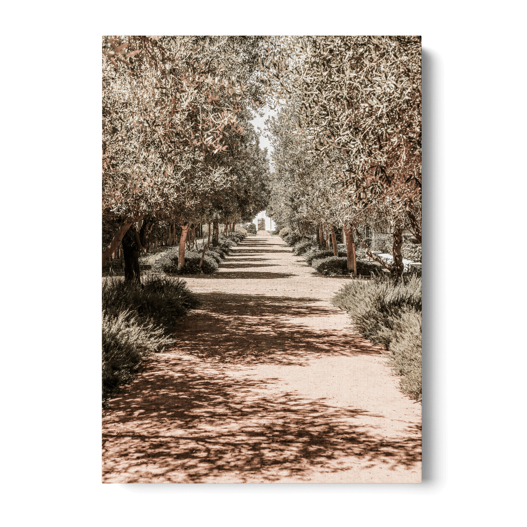 Serene Tree Lined Path Canvas