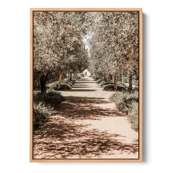 Serene Tree Lined Path Canvas