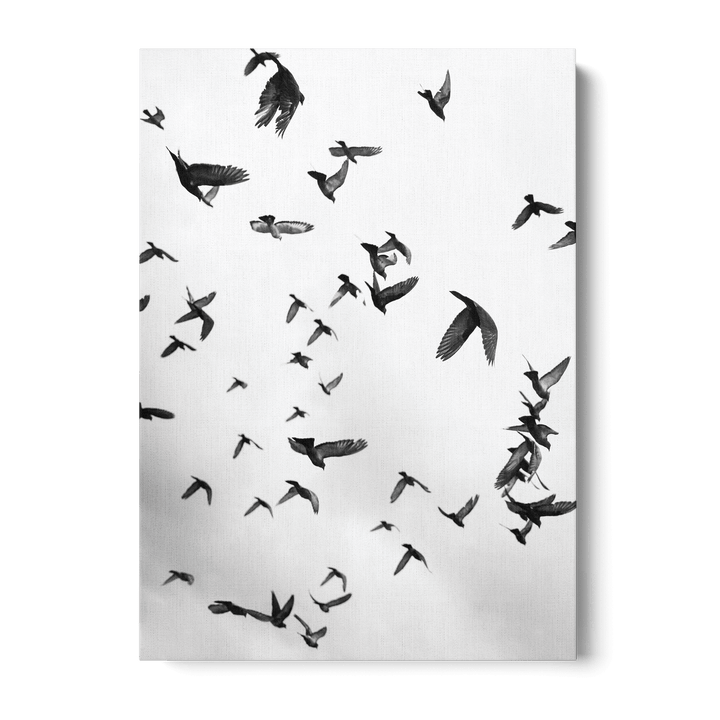 Skyward Symphony Canvas
