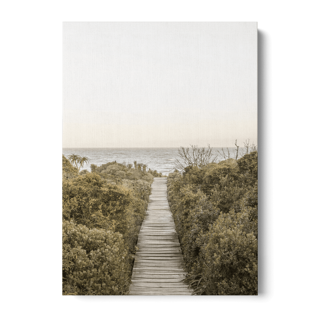 Boardwalk Canvas