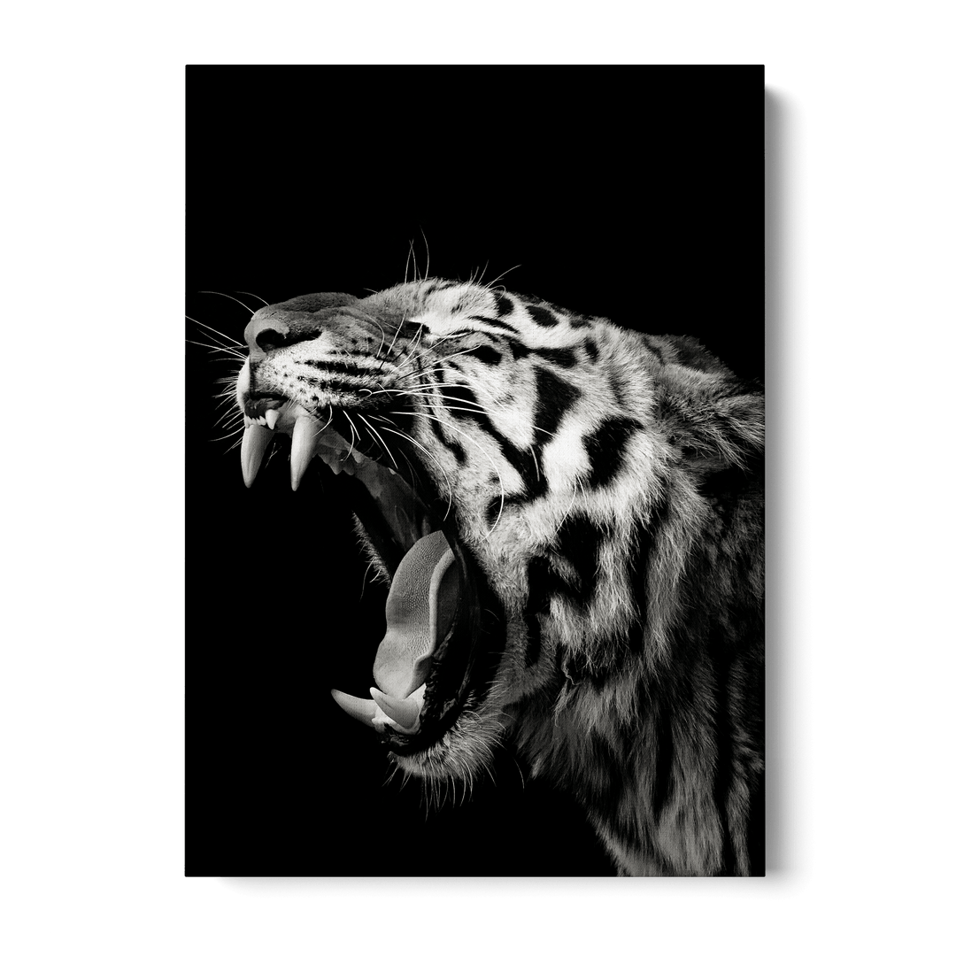 Primal Yawn Canvas
