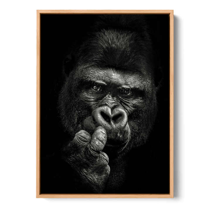 Attitude Canvas