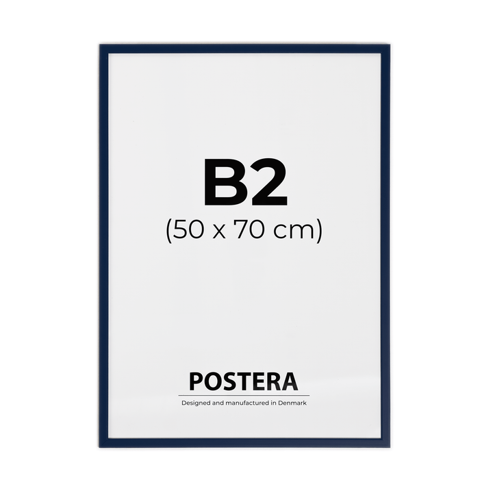 Donkerblauwe lijst - B2