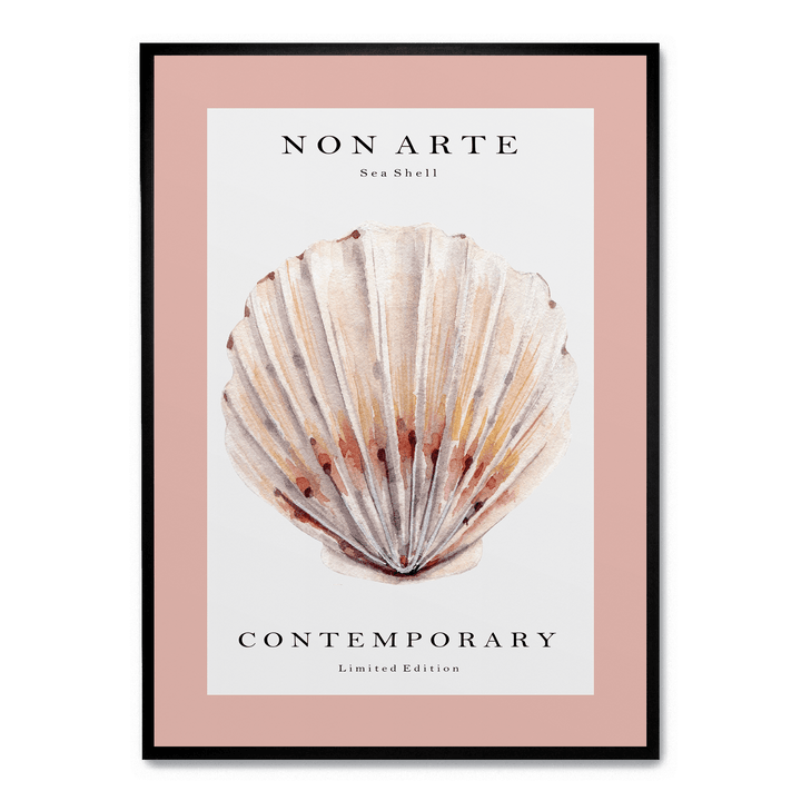 Non Arte Sea Shell