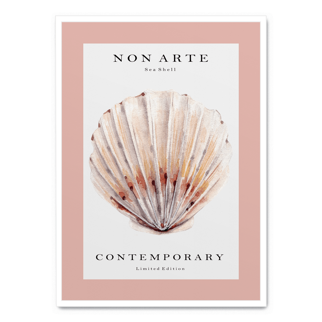 Non Arte Sea Shell