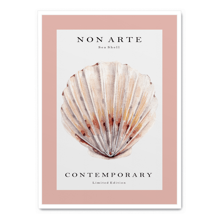 Non Arte Sea Shell