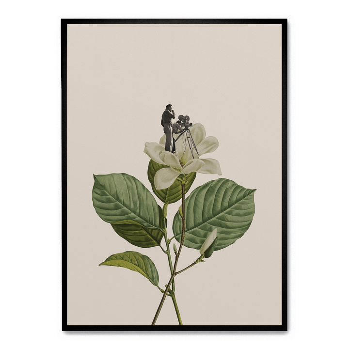 Botanical Vintage Cameraman