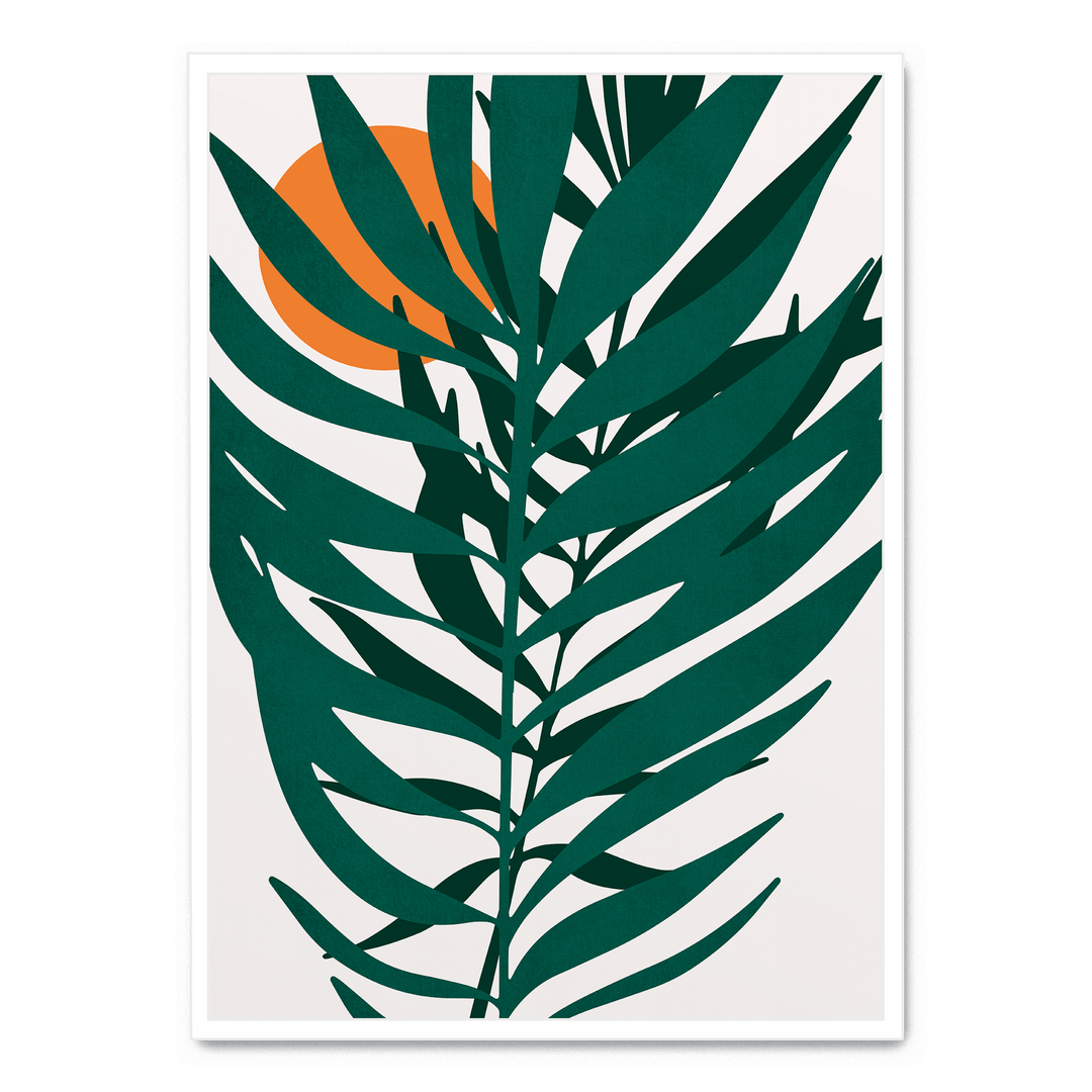 Little Miss Sunshine