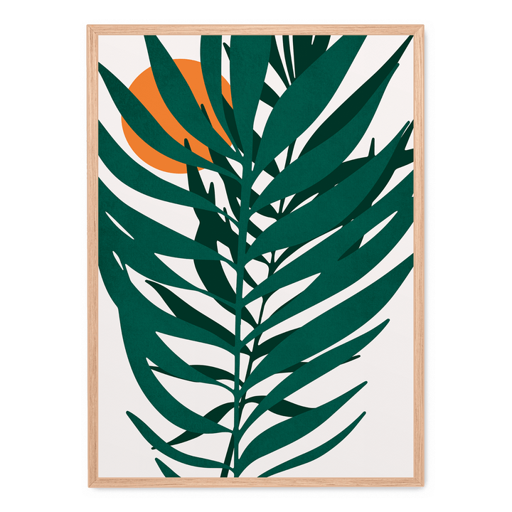 Little Miss Sunshine