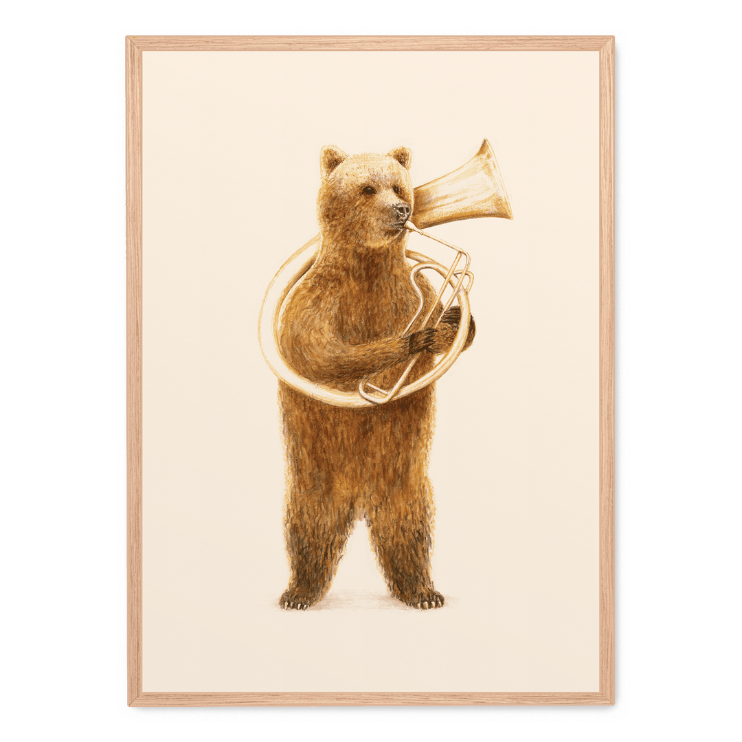 The Bear And His Helicon