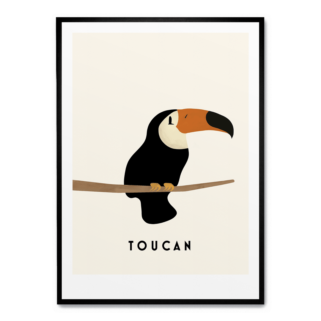 Little Toucan