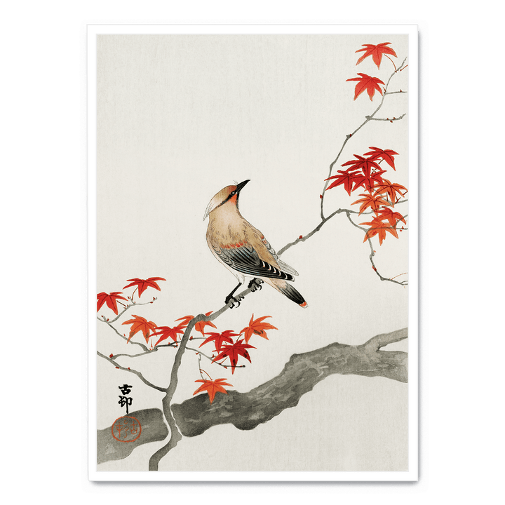 Ohara Koson - Plague Bird On Maple