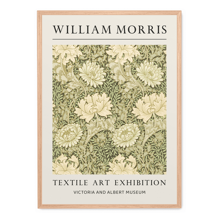 Chrysanthemum Pattern